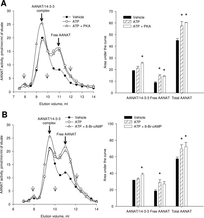 Figure 10.