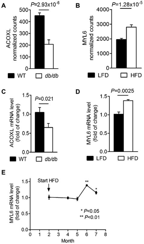 Figure 3: