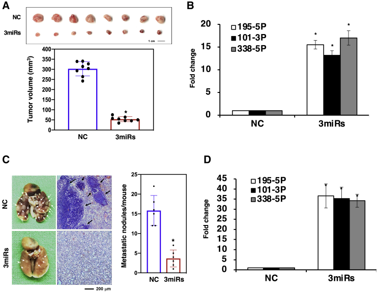 Figure 4