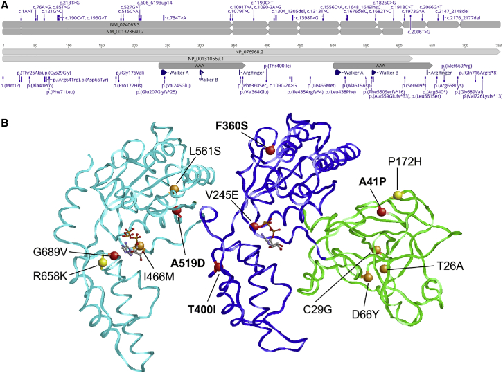 Figure 3