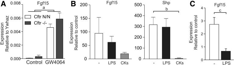 Figure 5