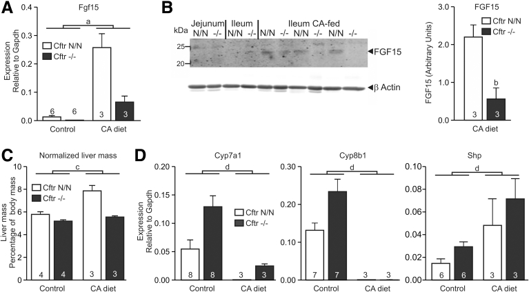 Figure 6