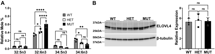 Fig. 3