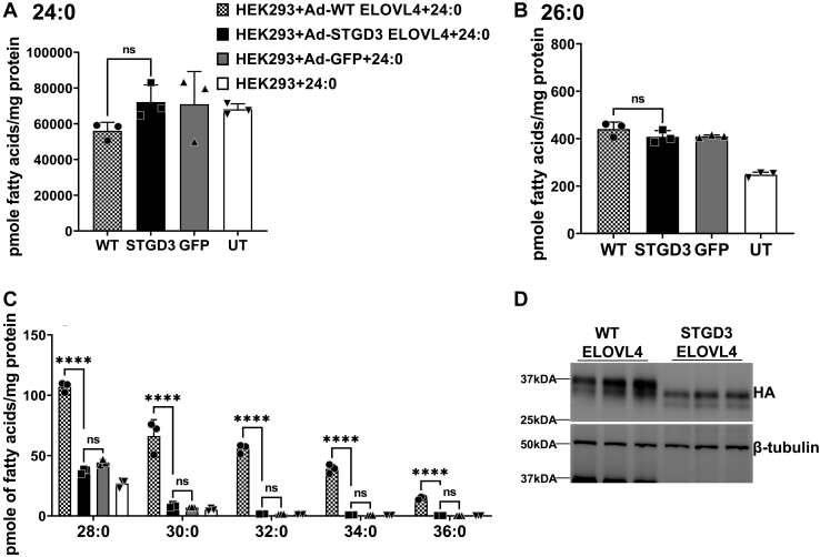 Fig. 7