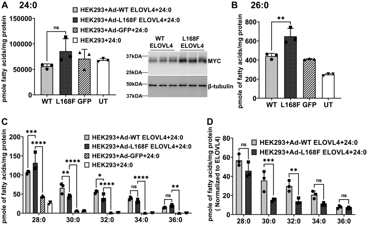 Fig. 6