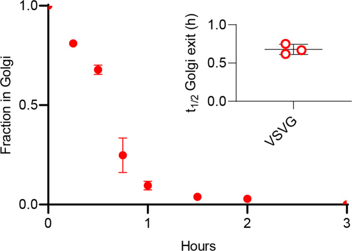 Figure 3—figure supplement 1.