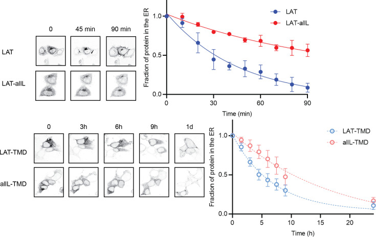 Figure 4—figure supplement 1.