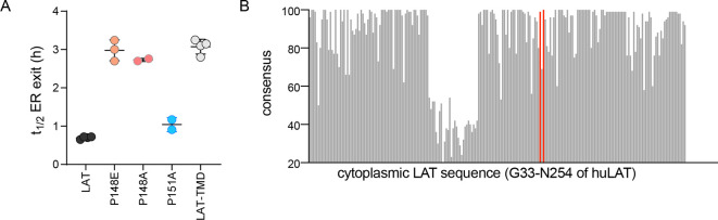 Figure 2—figure supplement 1.