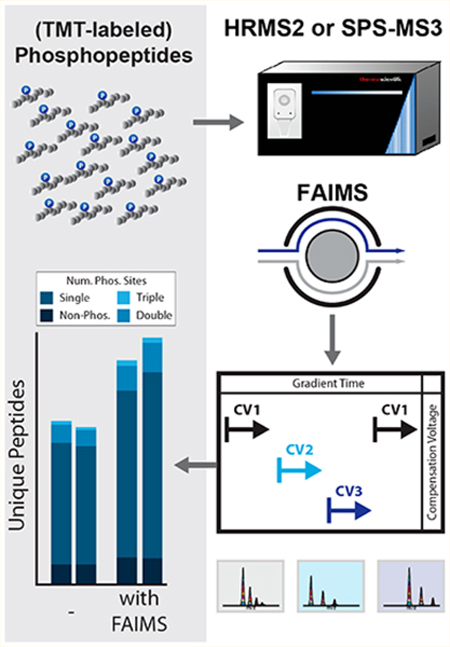 graphic file with name nihms-1067285-f0003.jpg