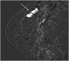 Figure 5