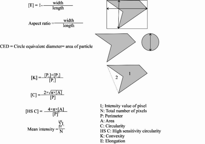 Fig. 5