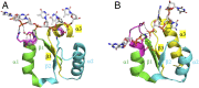 Fig. 6.