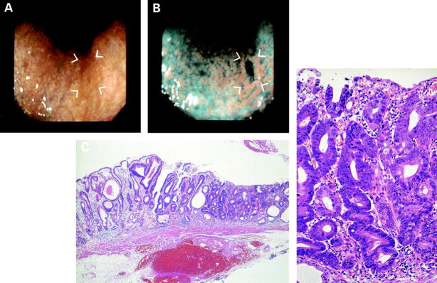 Figure 2  