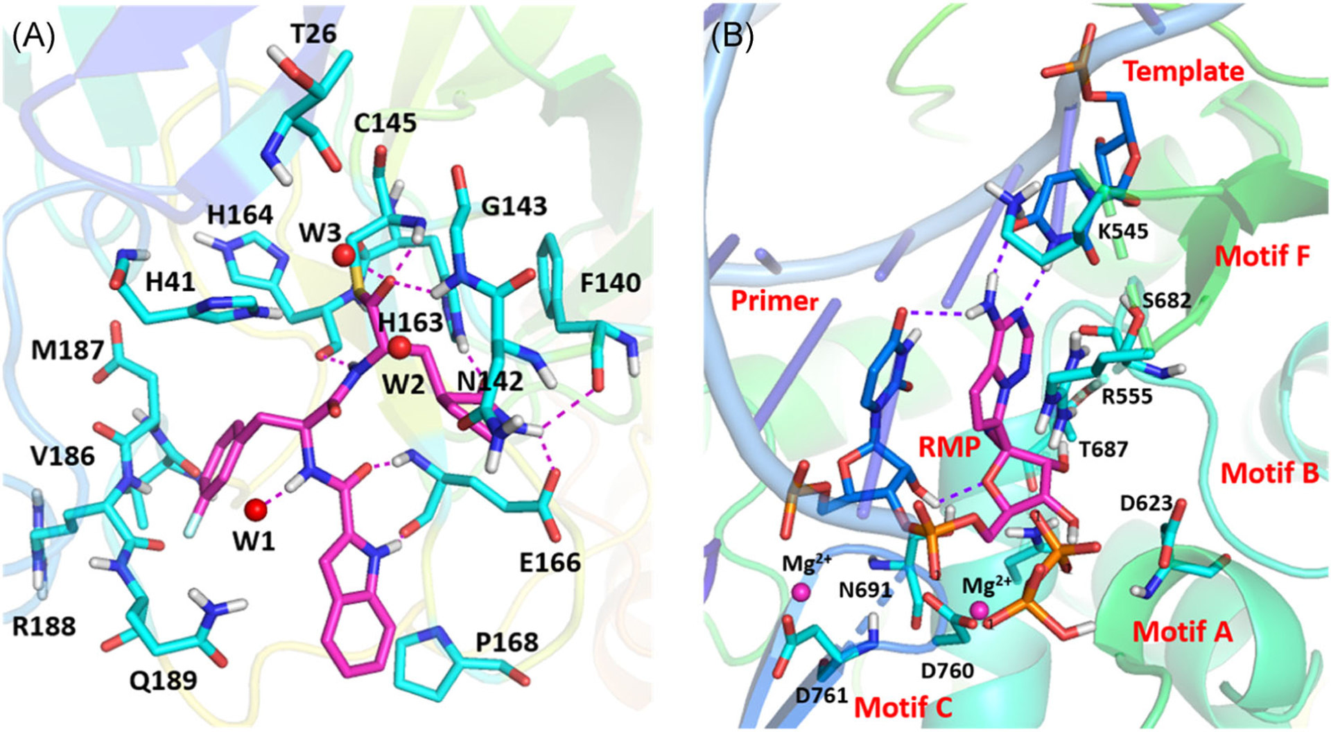 FIGURE 3