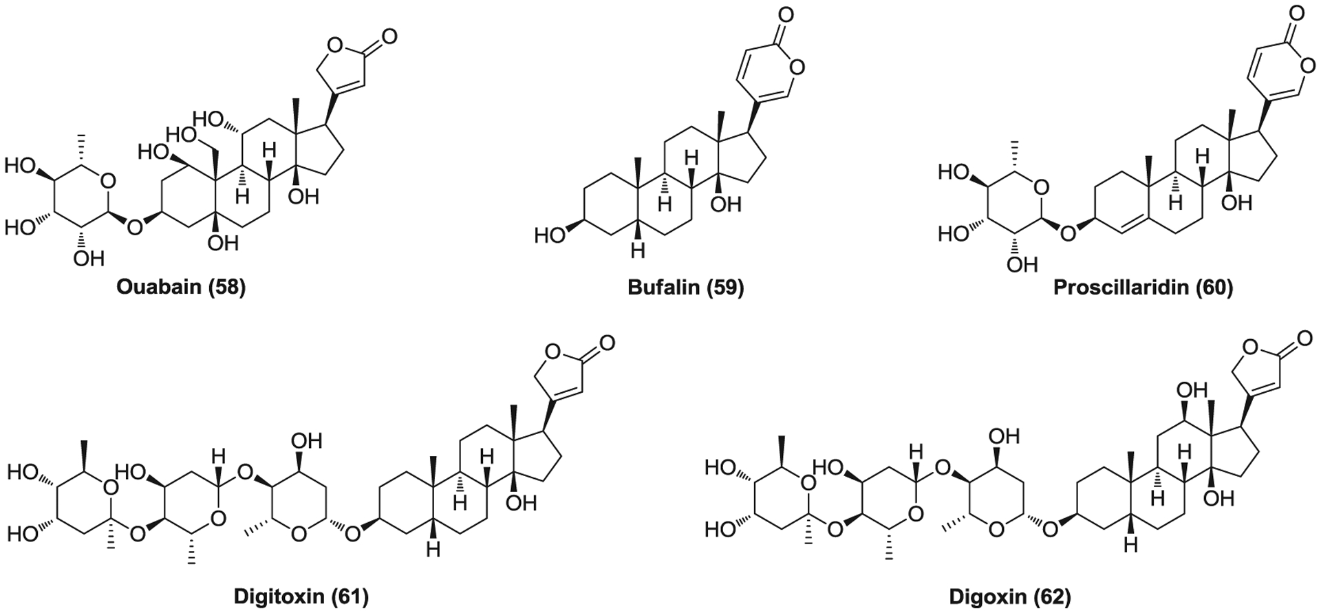 FIGURE 15