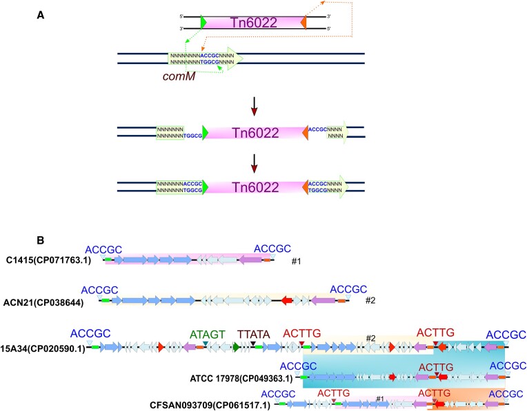 Figure 4.