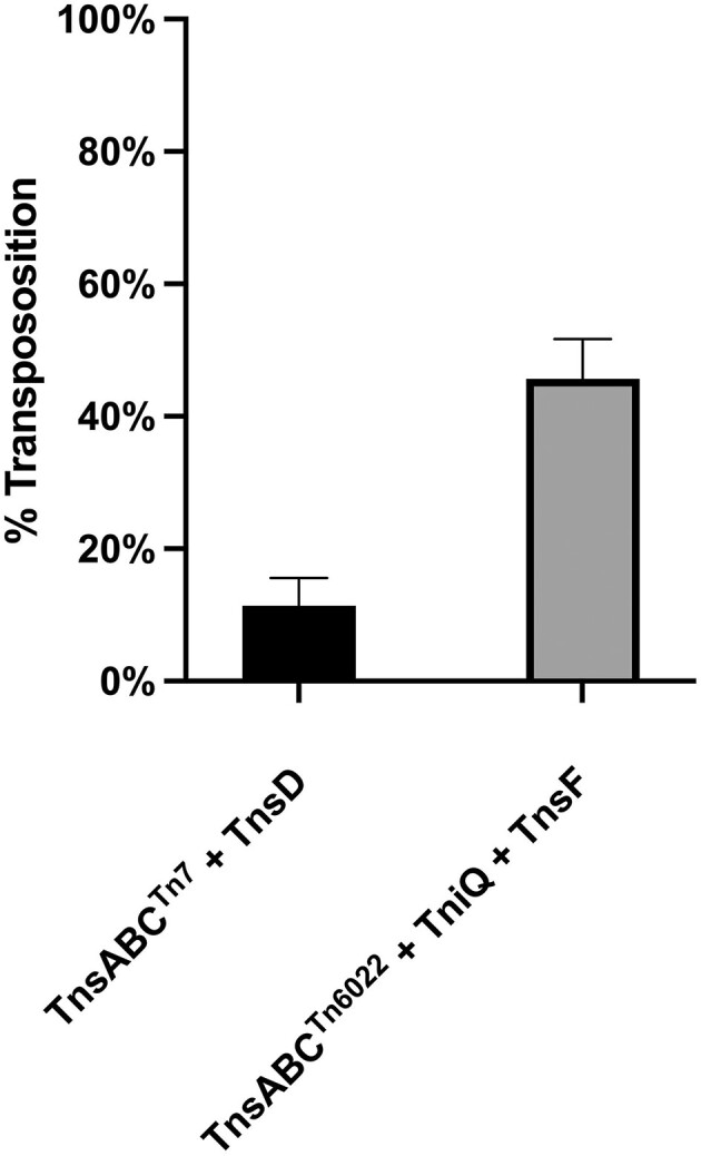 Figure 7.