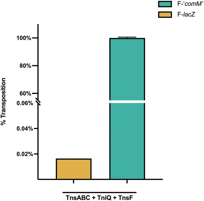 Figure 6.