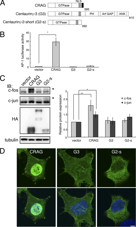 FIGURE 1.