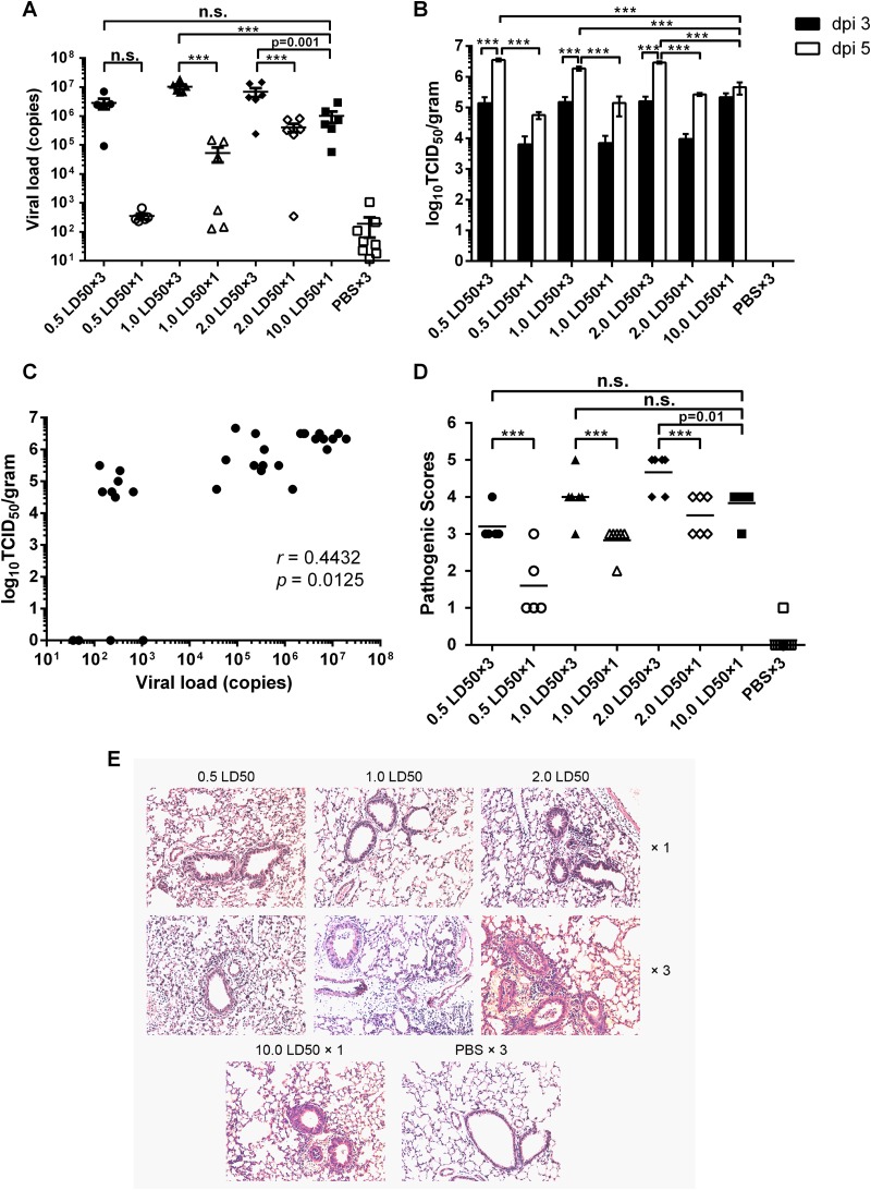 FIG 2