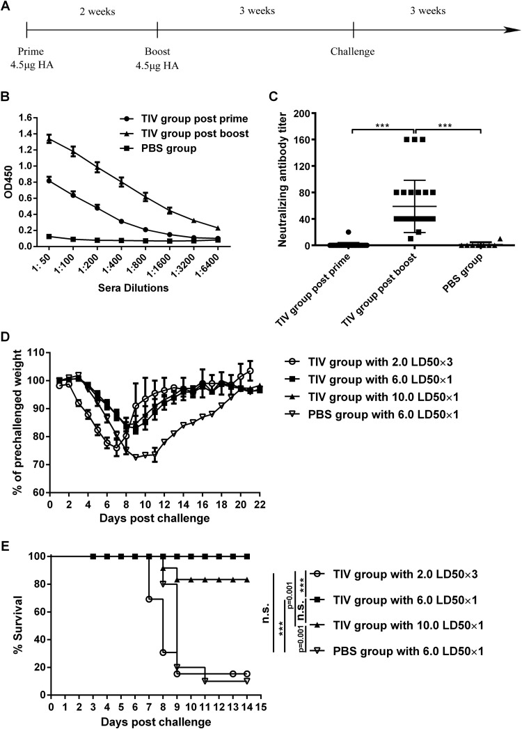 FIG 6