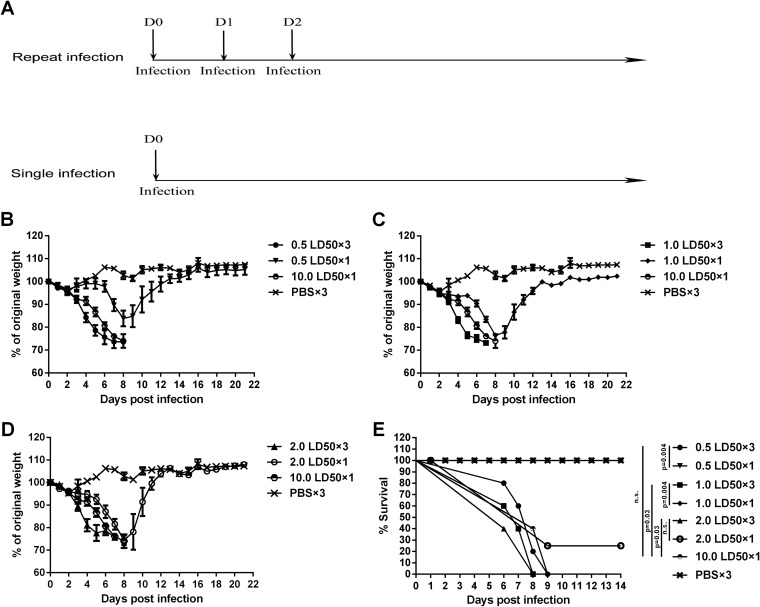 FIG 1