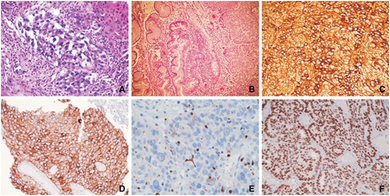 Figure 3.