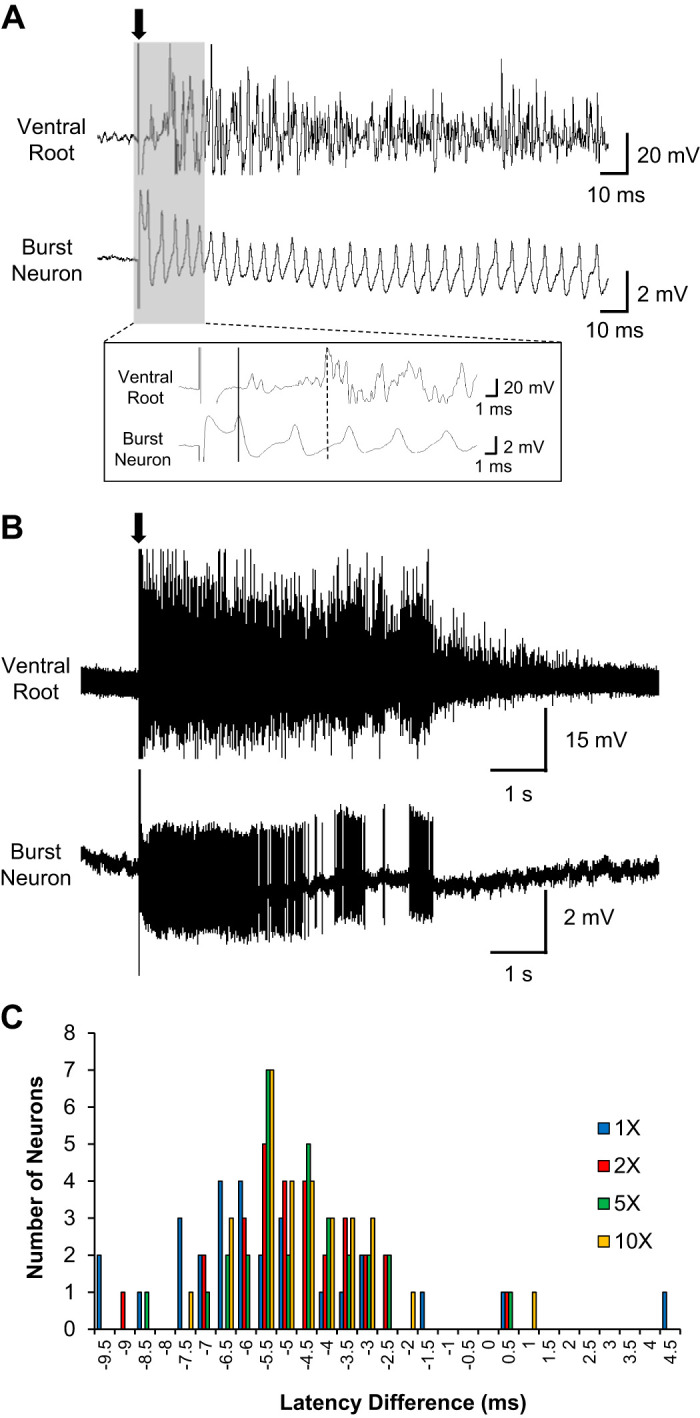 Fig. 6.