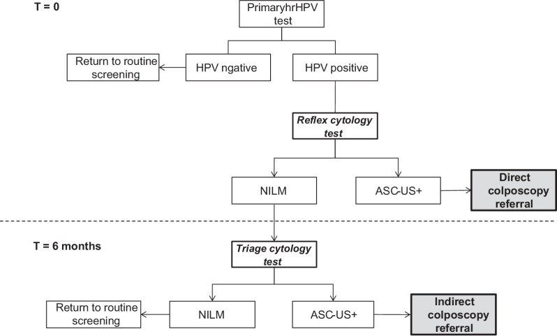 Figure 1. Referral algorithm for the Dutch primary hrHPV cervical cancer screening programme. hrHPV, high-risk human papillomavirus; NILM, negative for intraepithelial lesion or malignancy; ASC-US+, atypical squamous cells of undetermined significance or higher.