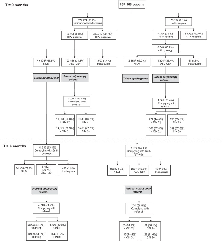 Figure 2. Outcomes following screening in the Dutch cervical cancer screening programme, cohorts 2017 and 2018 up until March 31, 2019. Cases with missing values for income or screening region are not shown. Approximately 1.5% of CIN 2+/3+ lesions were diagnosed outside of the normal screening pathways (i.e., either after incongruent advice or inadequate cytology). These are not shown on this flowchart but are included in the model. Imputed CIN values for women who used the self-sampling test and had no cytology result are not included. #, There were 56 women given the advice to return to routine screening following a hrHPV+/NILM screening result. Compliance with 6 month cytology is calculated as a proportion of those women receive advice to return for 6 month cytology. *, There were 19 women who used self-sampling given the advice for a repeat cytology test following an hrHPV+/ASC-US screening result. Compliance with referral is calculated as a proportion of those women receive referral advice. **, There were 142 women who received an advice other than referral for colposcopy following a low-grade cytology abnormality. Compliance with referral is calculated as a proportion of those women receive referral advice. ‡, Not all women who complied with referral advice received an histologically confirmed diagnoses (i.e., cytology only). These women are also included in this category. NILM, negative for intraepithelial lesion or malignancy; ASC-US+, atypical squamous cells of undetermined significance or higher.