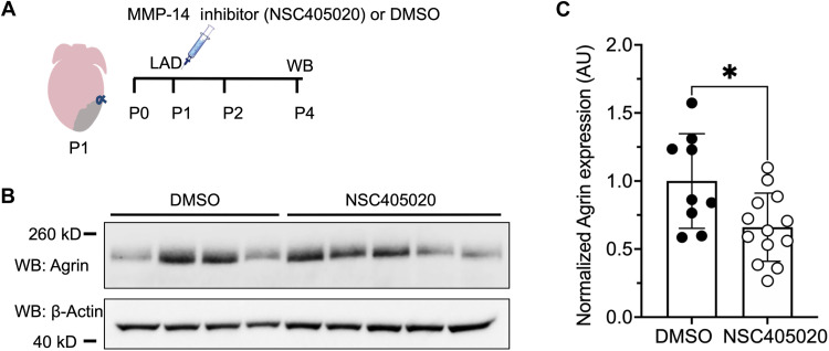 Fig. 7.