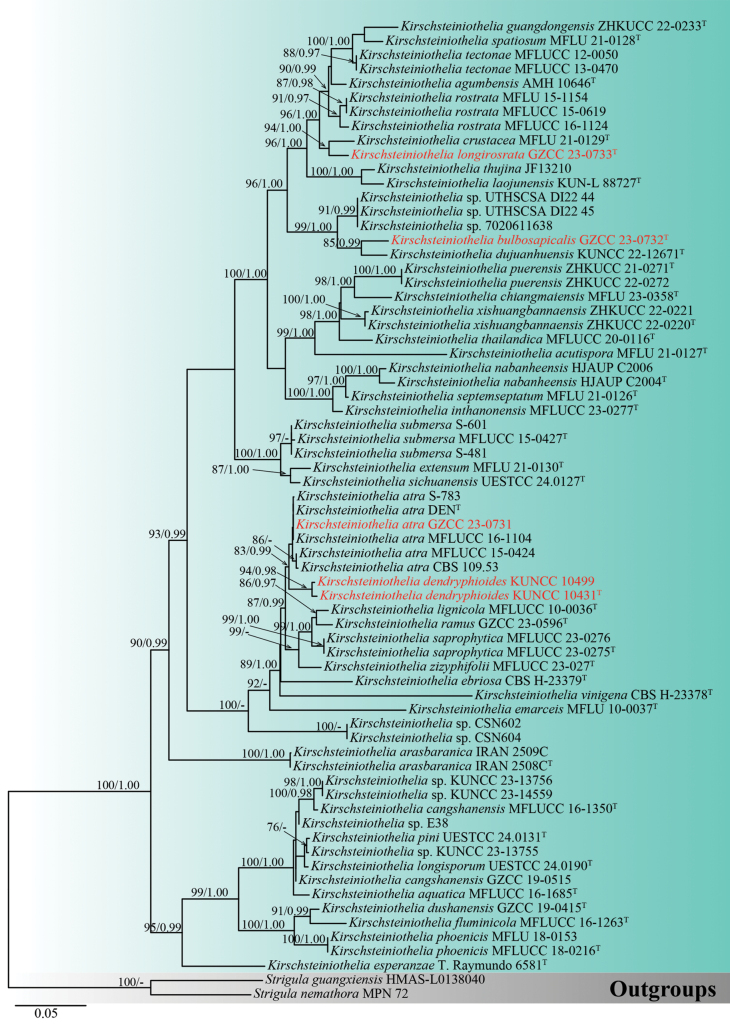 Figure 1.