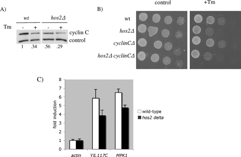 FIG. 7.