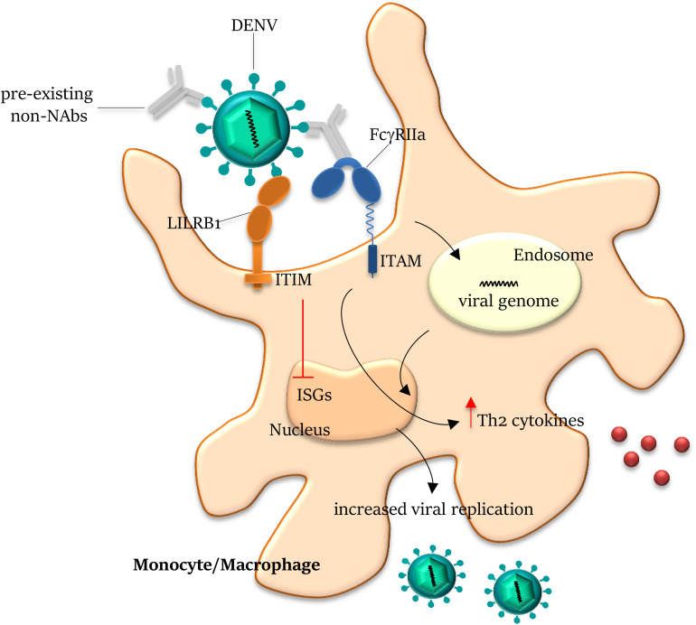 FIGURE 3