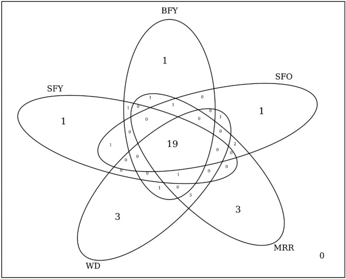 Fig. 5