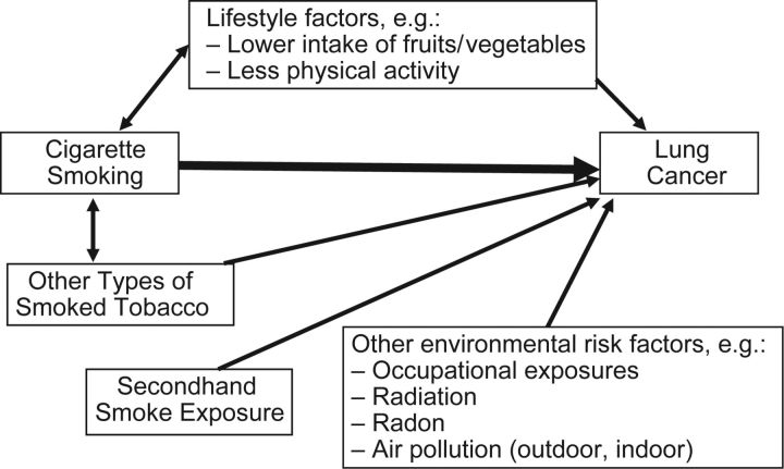 Figure 1.