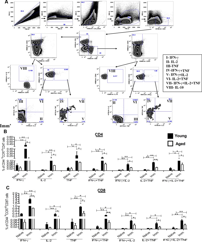 Fig 6