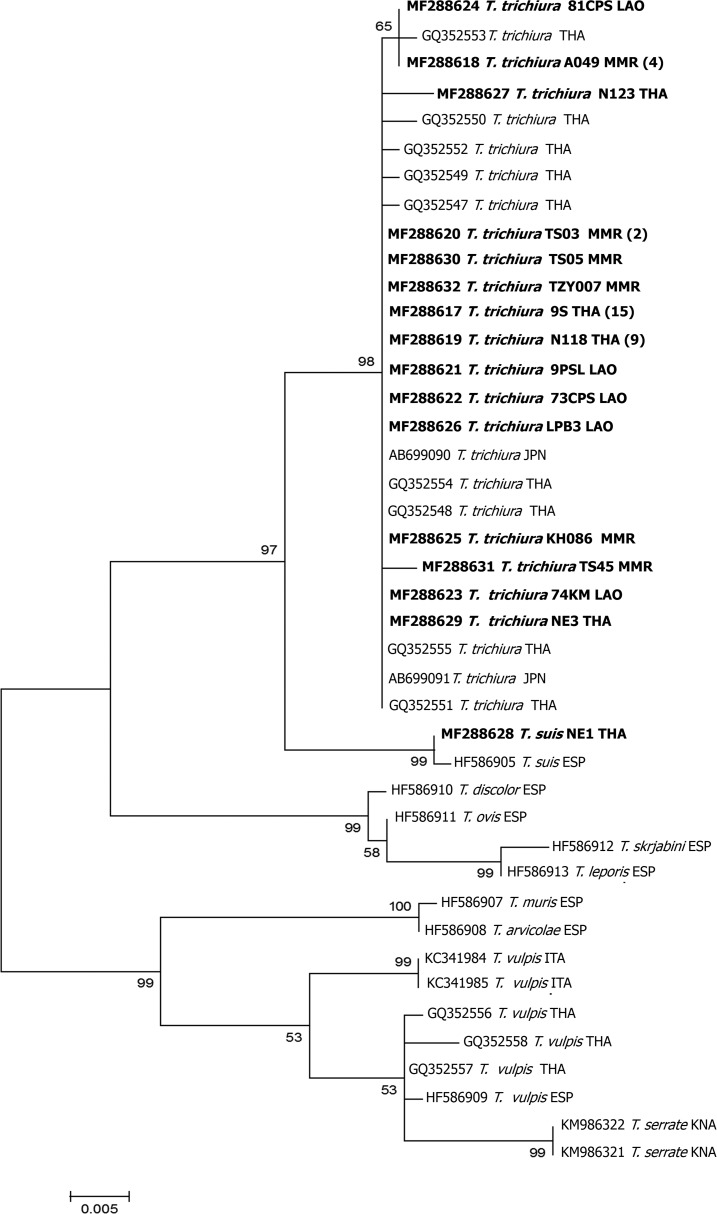 Figure 2.