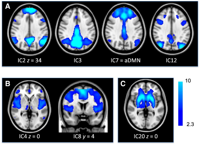 Fig. 1