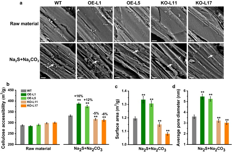 Fig. 7