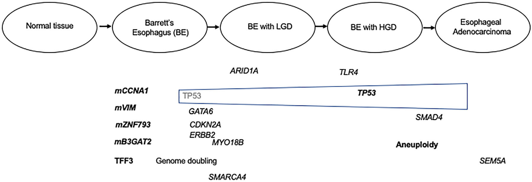 Figure 1: