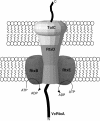 FIG. 5.