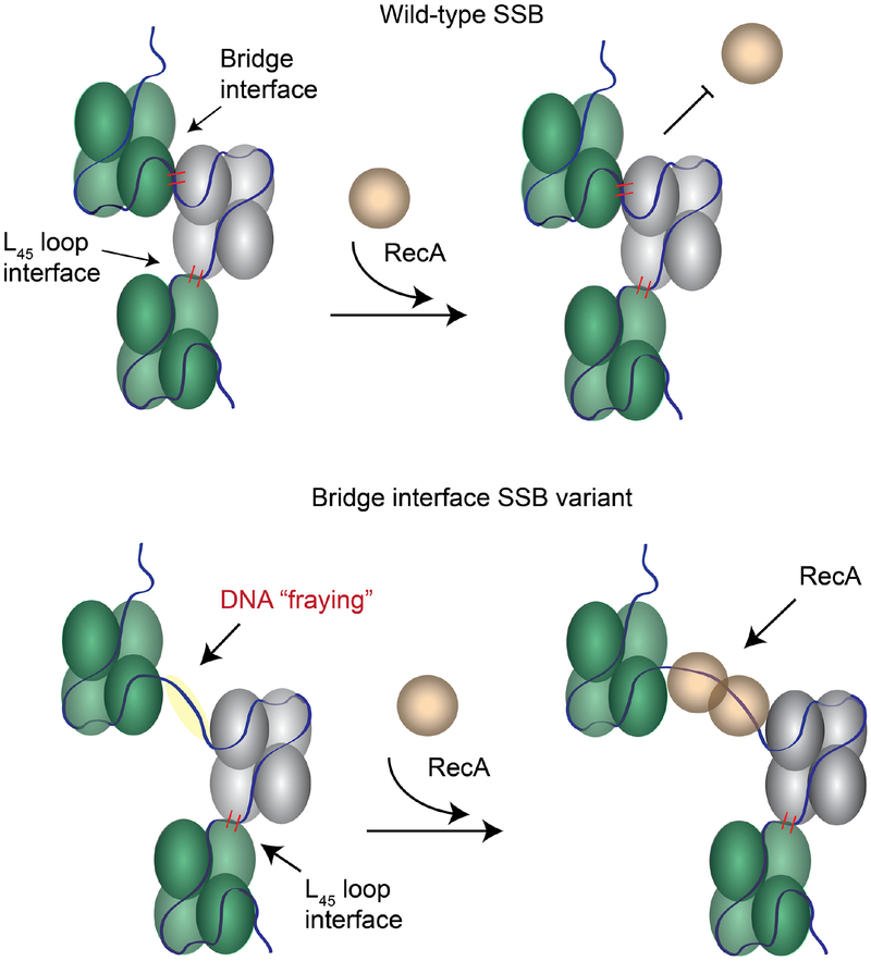 Figure 10.