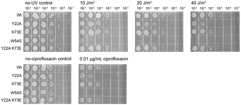 Figure 9.