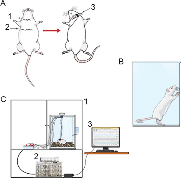 Figure 7