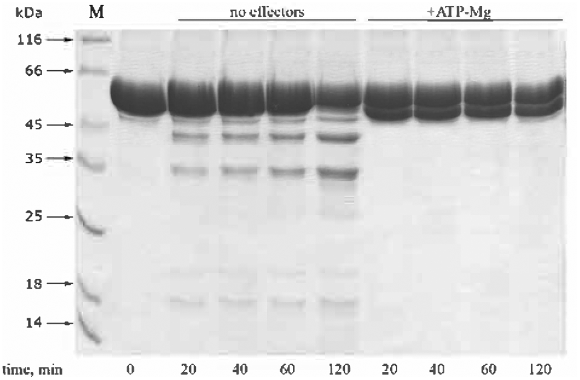 Figure 7.