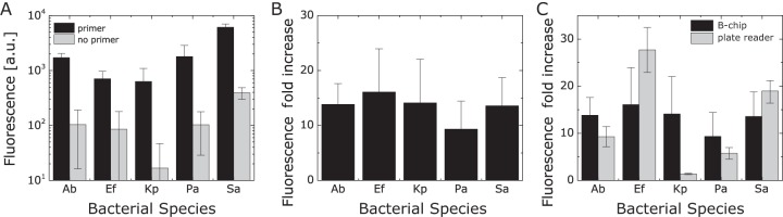 FIG 2