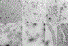 Figure 7: