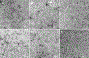 Figure 6: