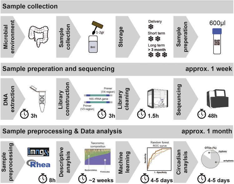 Figure 2